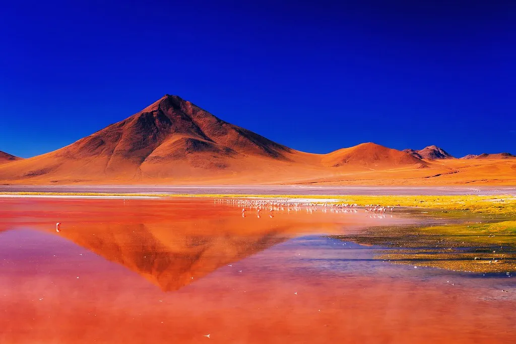 Laguna Colorada