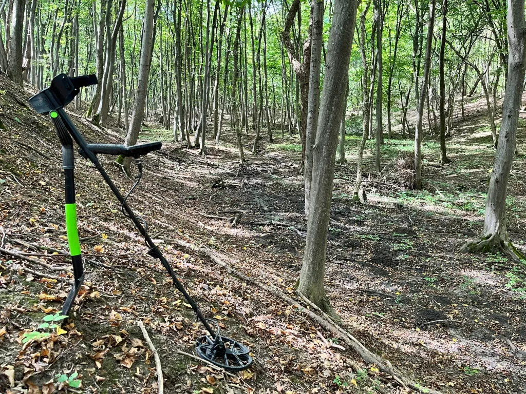 Countries Where Metal Detecting is Allowed
